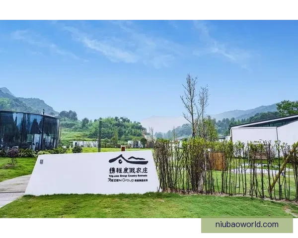 佩德里投资250万欧元在家乡购房改建乡村酒店打造度假旅游新地标